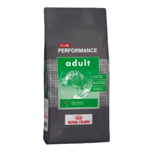 CLUB PERFOMANCE PERRO ADULTO