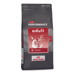 Club Performance Gato Adulto