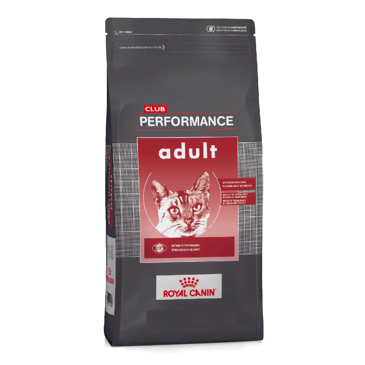 Club Performance Gato Adulto