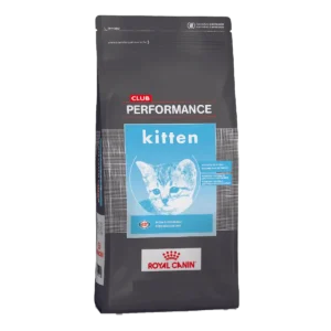 alimento-club-performance-gato-cachorro-kitten