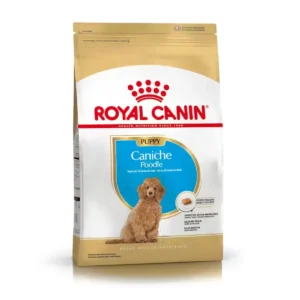 Royal Canin Caniche Puppy