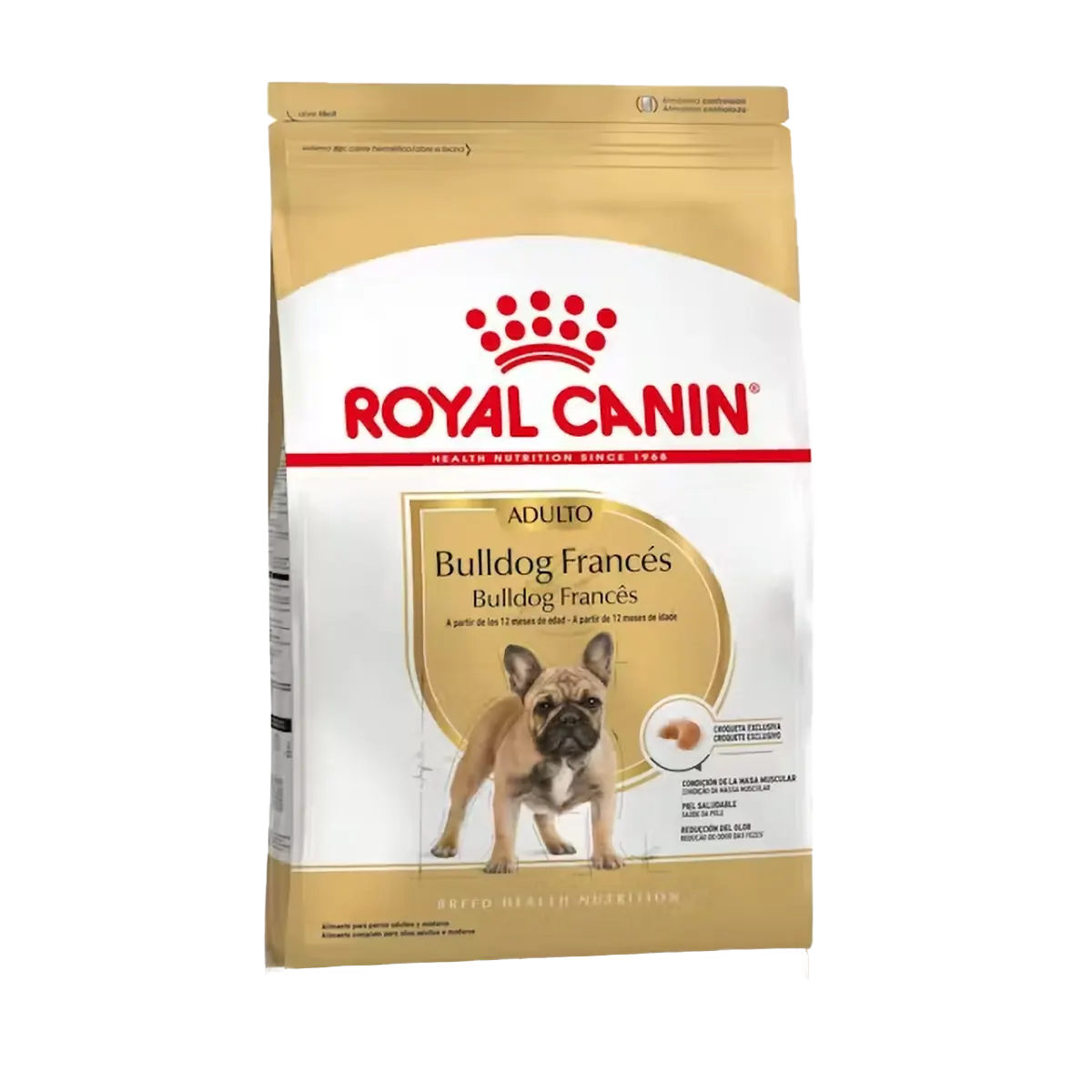 Royal-Canin_bulldog_frances_adulto Royal-Canin_bulldog_frances_adulto